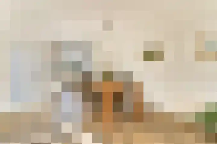 Knorrenburg 9 Sassenheim thumbnail 4