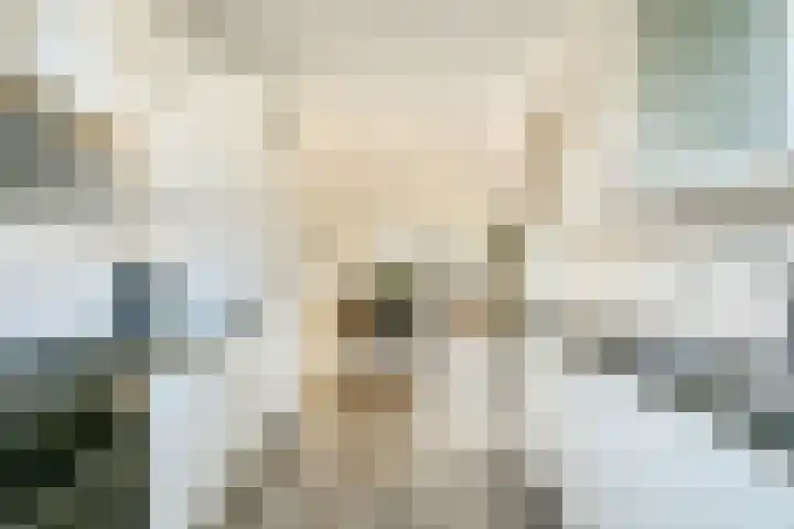 Knorrenburg 9 Sassenheim thumbnail 6