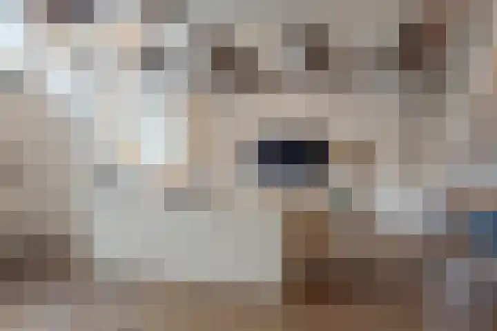 Knorrenburgerstraat 2 Hattem thumbnail 12