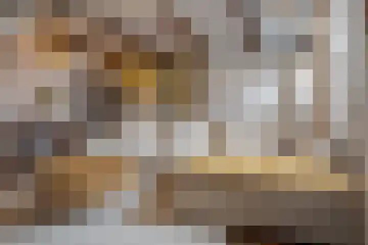 Knorrenburgerstraat 2 Hattem thumbnail 14