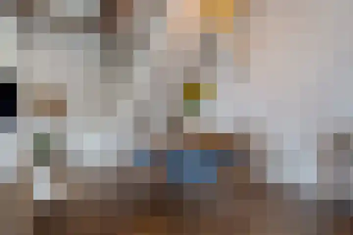 Knorrenburgerstraat 2 Hattem thumbnail 17