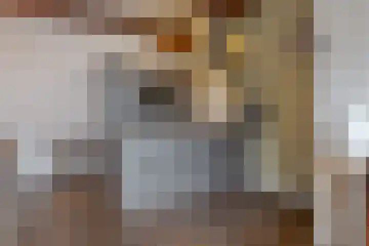 Knorrenburgerstraat 2 Hattem thumbnail 20