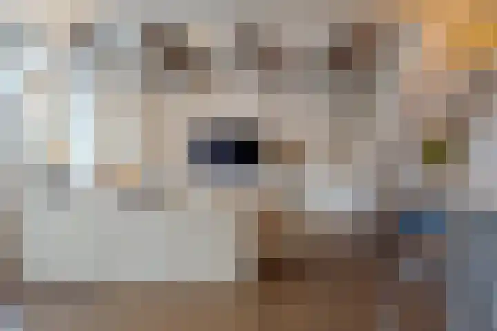 Knorrenburgerstraat 2 Hattem thumbnail 26