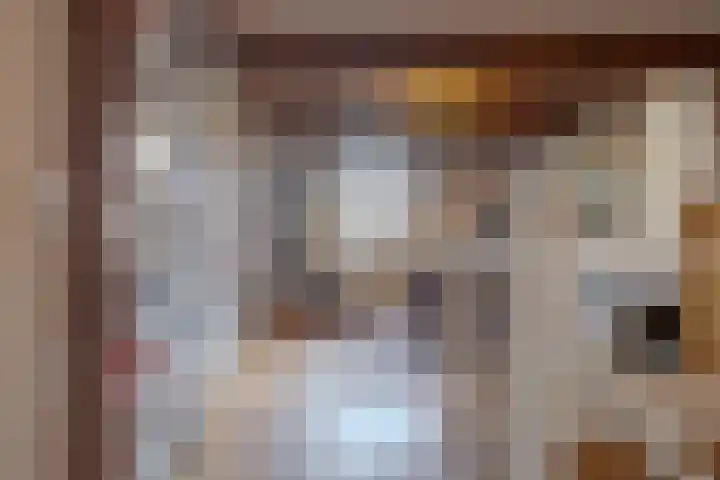 Knorrenburgerstraat 2 Hattem thumbnail 30