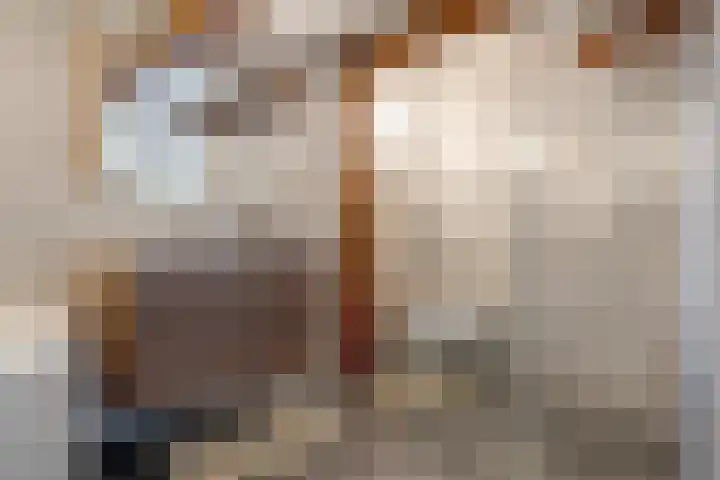Knorrenburgerstraat 2 Hattem thumbnail 34