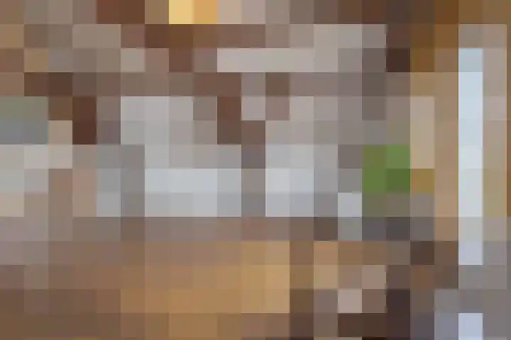 Knorrenburgerstraat 2 Hattem thumbnail 39