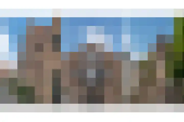 Knorrenburgerstraat 2 Hattem thumbnail 4