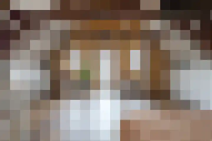 Knorrenburgerstraat 2 Hattem thumbnail 40
