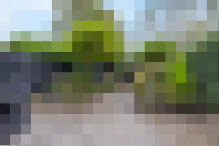 Knosterveld 1 Koog aan de Zaan thumbnail 10