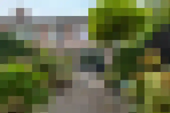 Knosterveld 1 Koog aan de Zaan thumbnail 11