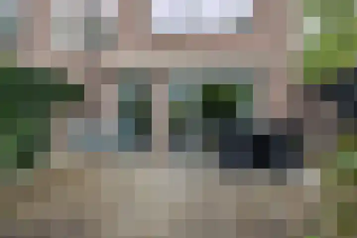 Knosterveld 1 Koog aan de Zaan thumbnail 12