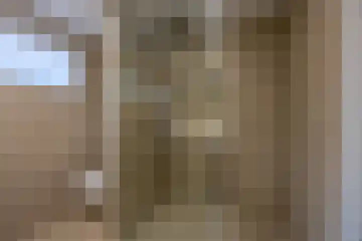 Knosterveld 1 Koog aan de Zaan thumbnail 22