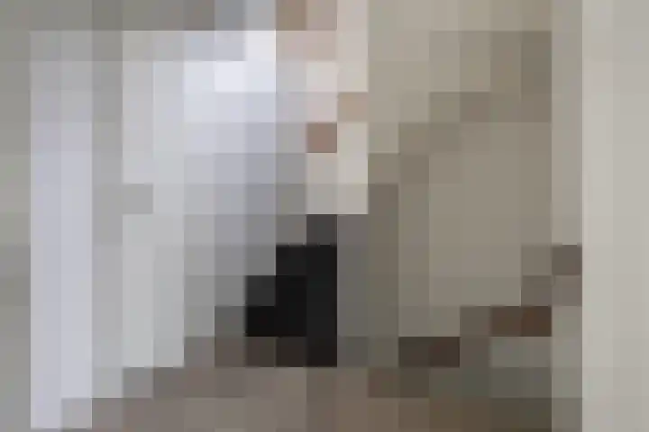 Knosterveld 1 Koog aan de Zaan thumbnail 23