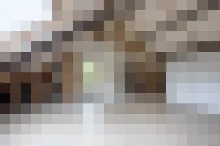 Knosterveld 1 Koog aan de Zaan thumbnail 24