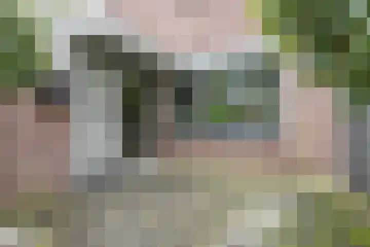 Knosterveld 1 Koog aan de Zaan thumbnail 30