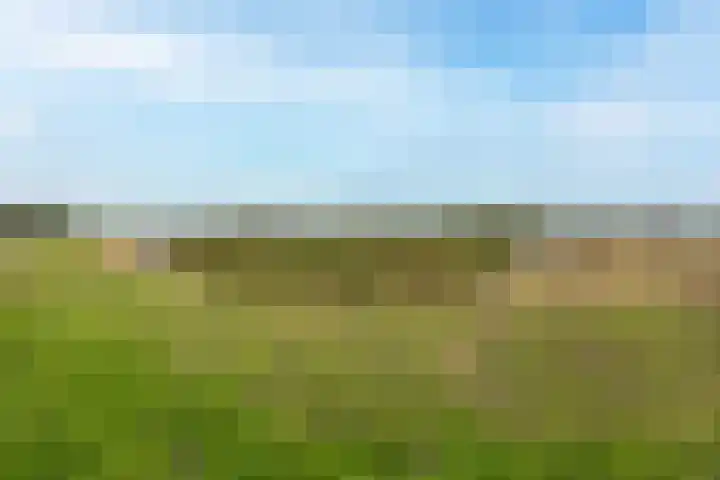 Knosterveld 1 Koog aan de Zaan thumbnail 32