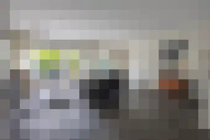 Knosterveld 1 Koog aan de Zaan thumbnail 4