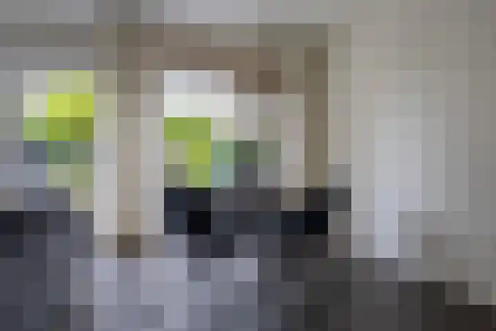 Knosterveld 1 Koog aan de Zaan thumbnail 6