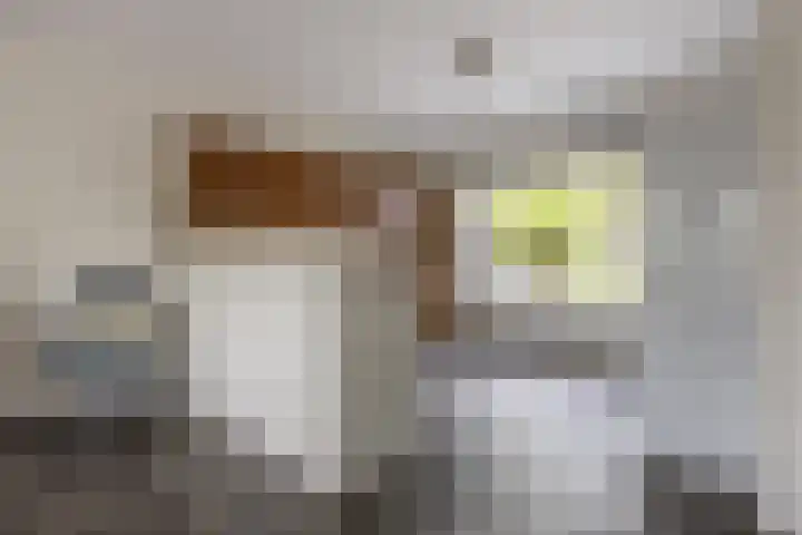 Knosterveld 1 Koog aan de Zaan thumbnail 7