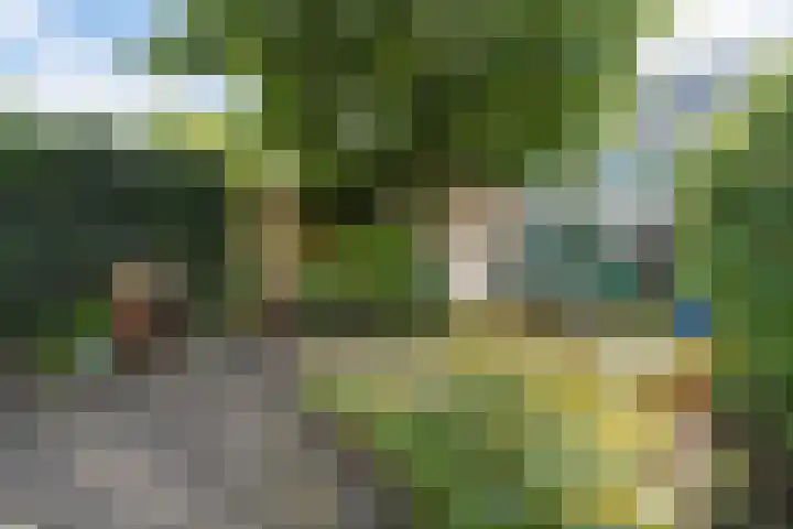 Knottenbeltlaan 29 Barneveld thumbnail 36