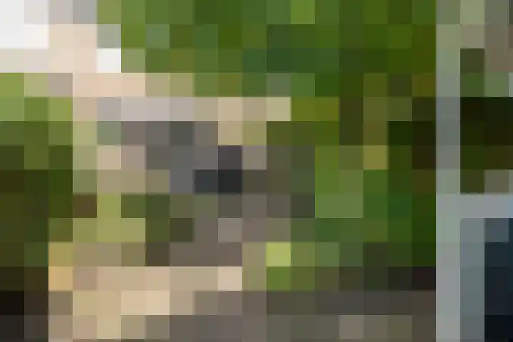 Knottenbeltlaan 29 Barneveld thumbnail 37