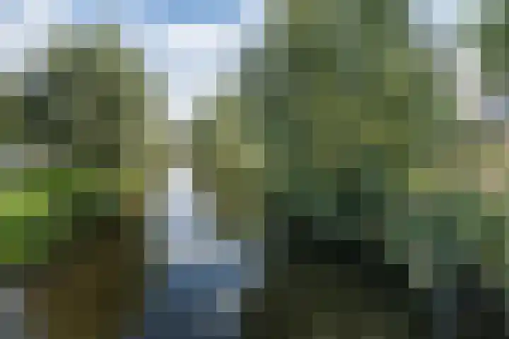 Knottenbeltlaan 29 Barneveld thumbnail 48