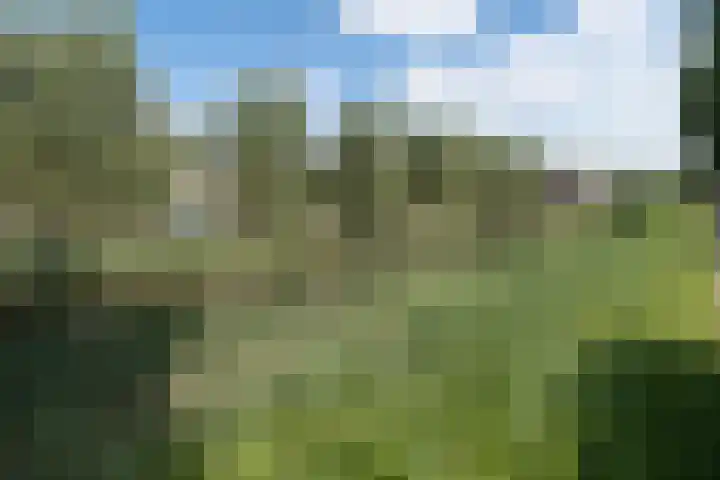 Knottenbeltlaan 29 Barneveld thumbnail 50