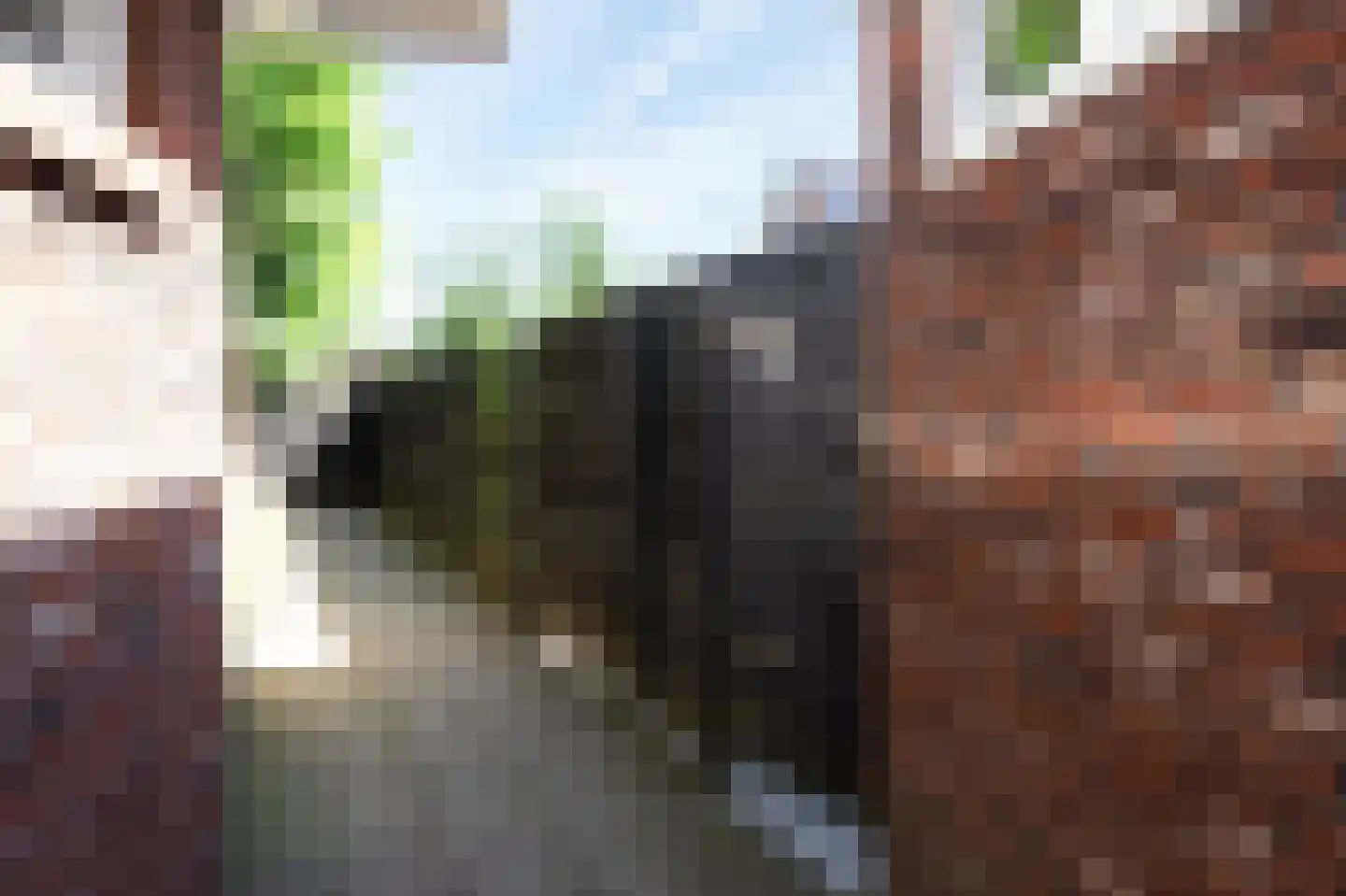 Knottenbeltlaan 3 Barneveld thumbnail 53