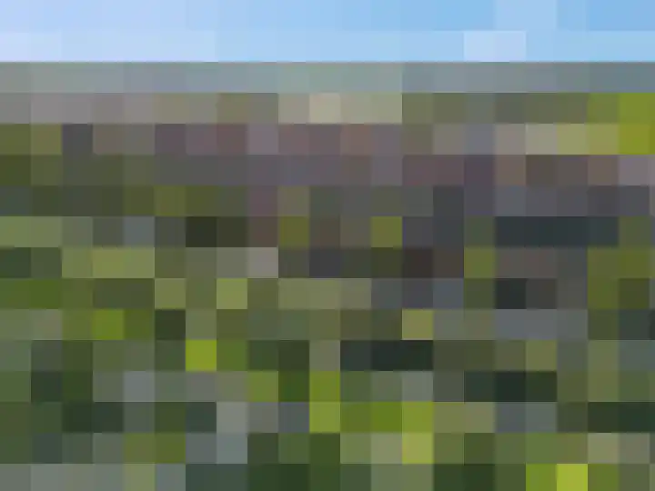 Knottenbeltlaan 59 Barneveld thumbnail 46