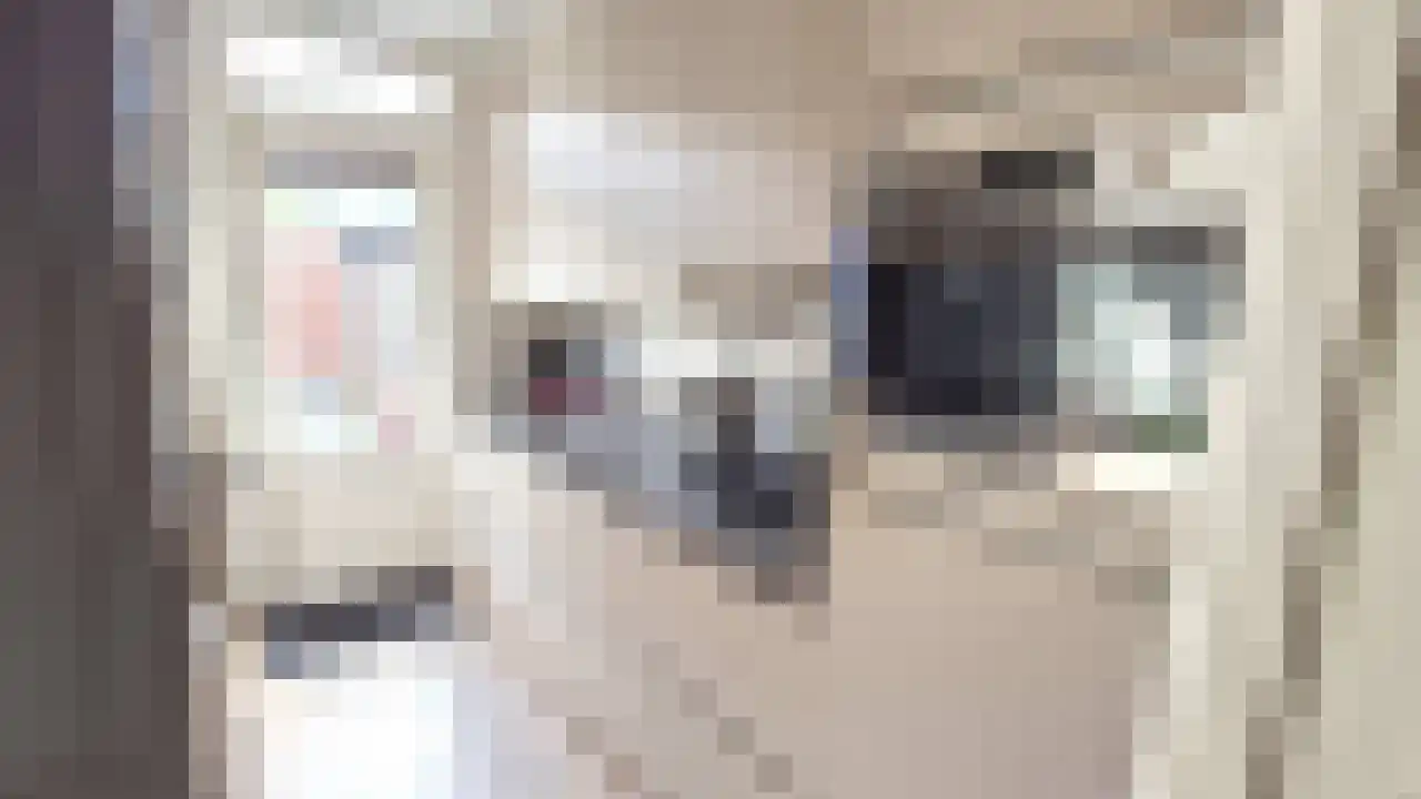 Knottenplat 24 Eelde thumbnail 5