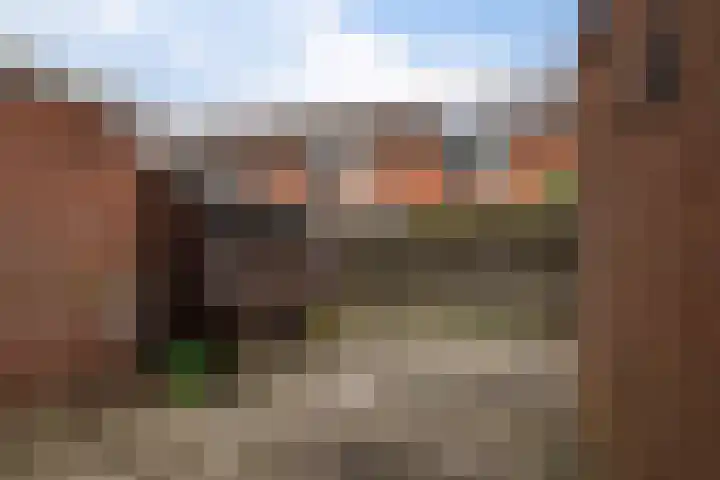 Knottenplat 44 Eelde thumbnail 28