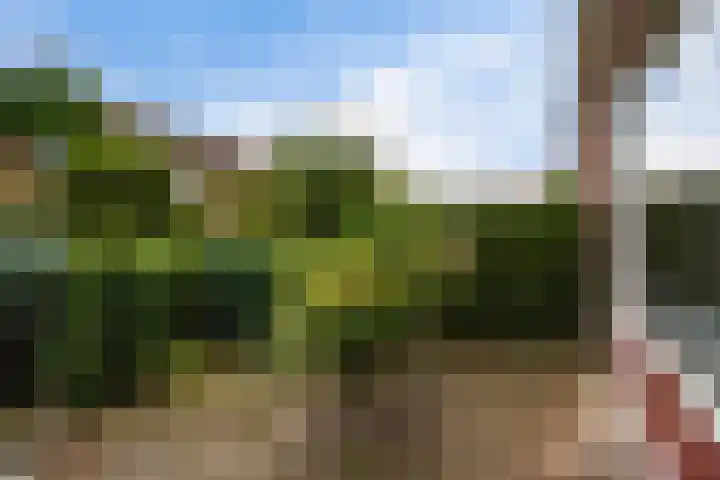 Knottenplat 44 Eelde thumbnail 4