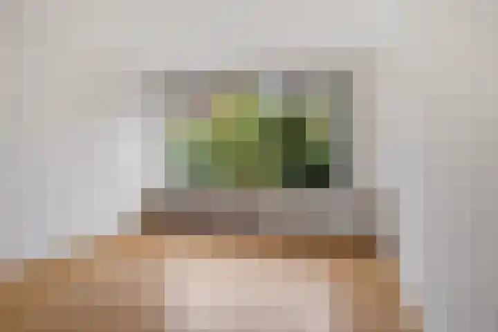 Knottenplat 44 Eelde thumbnail 9