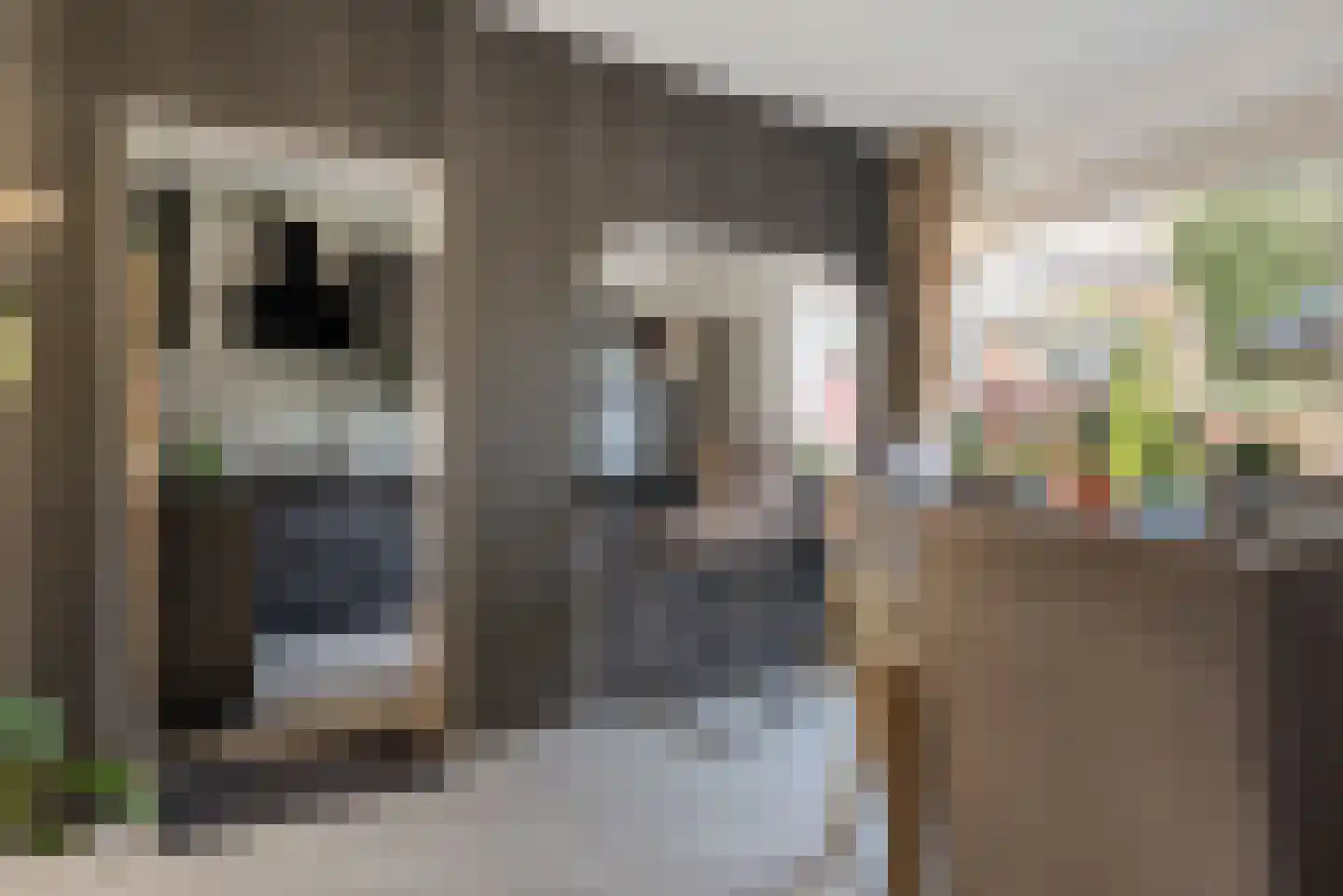 Knottenplat 5 Eelde thumbnail 10