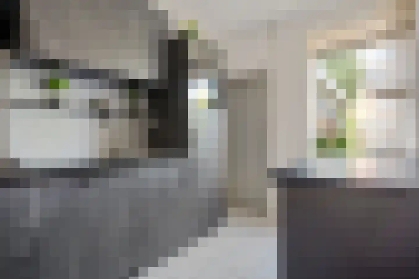 Knottenplat 5 Eelde thumbnail 11