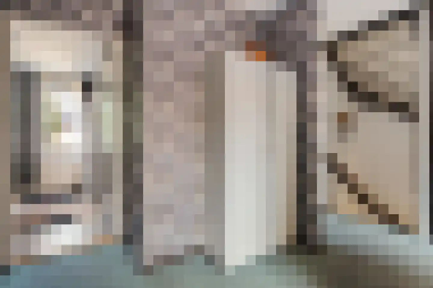 Knottenplat 5 Eelde thumbnail 15