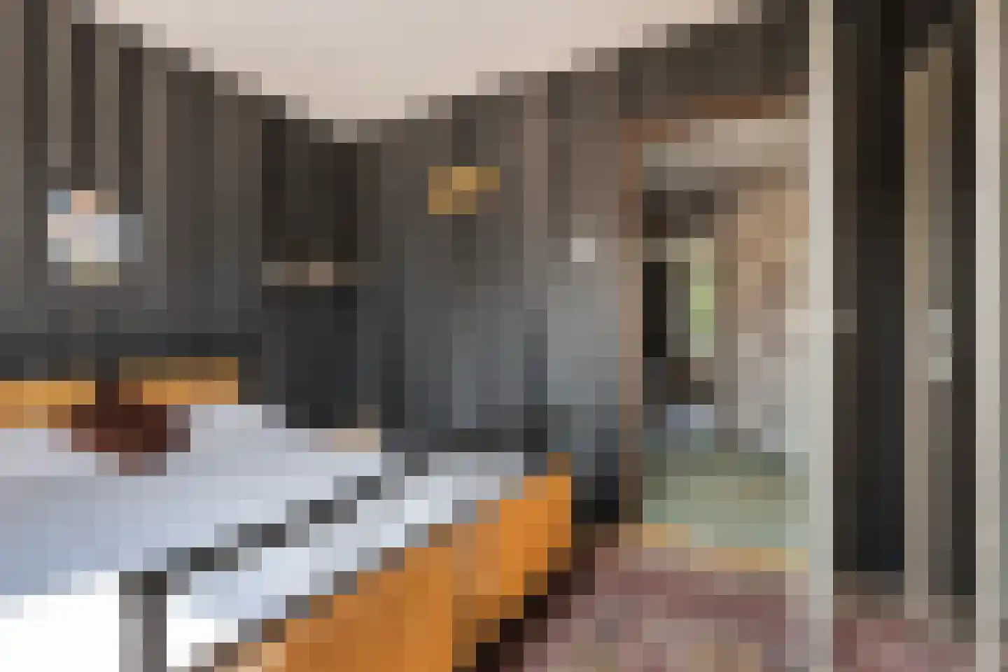 Knottenplat 5 Eelde thumbnail 20