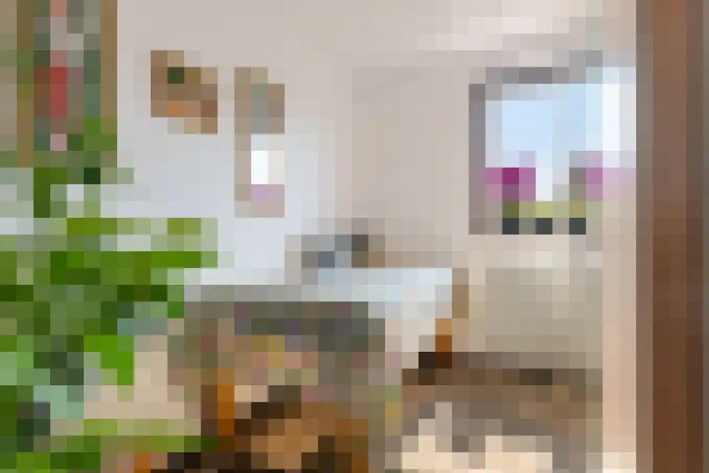 Knottenplat 5 Eelde thumbnail 24