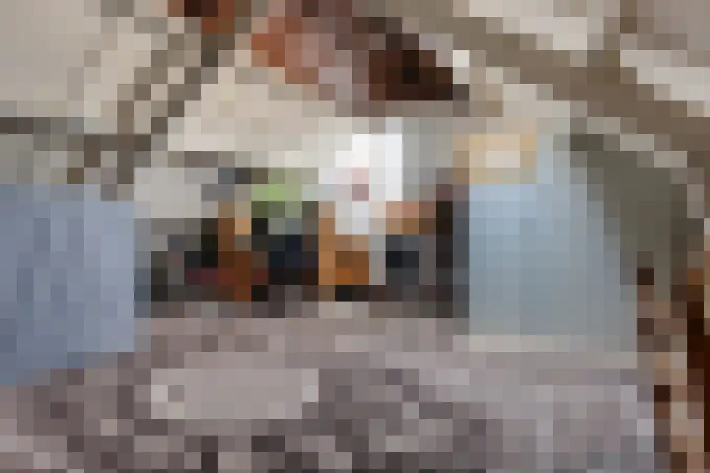 Knottenplat 5 Eelde thumbnail 28