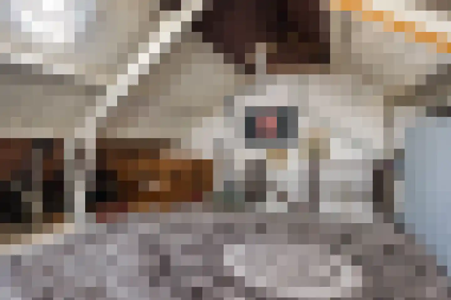 Knottenplat 5 Eelde thumbnail 29