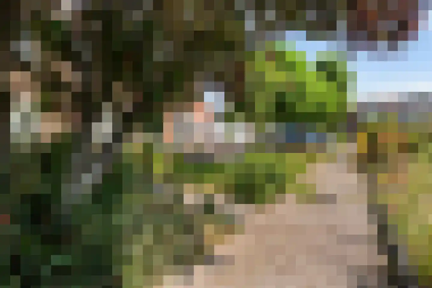 Knottenplat 5 Eelde thumbnail 36