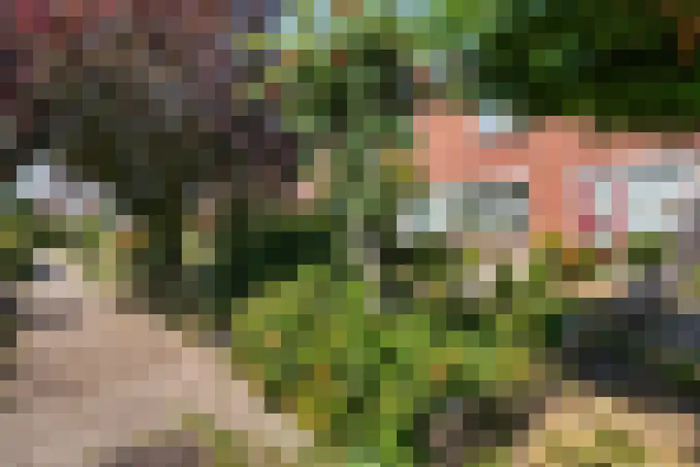 Knottenplat 5 Eelde thumbnail 38