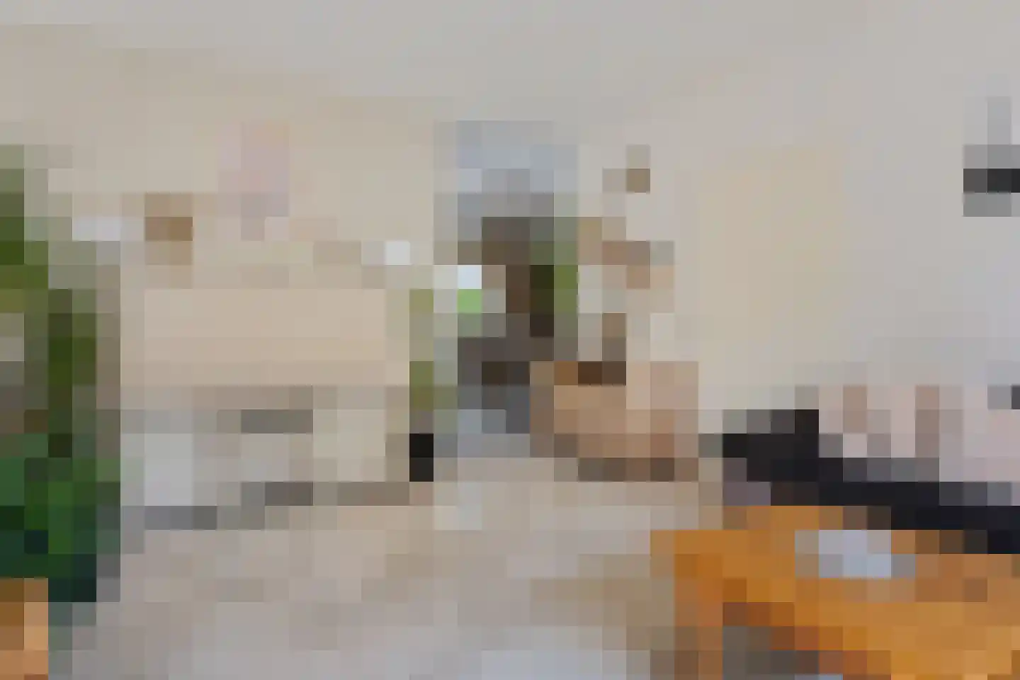 Knottenplat 5 Eelde thumbnail 8