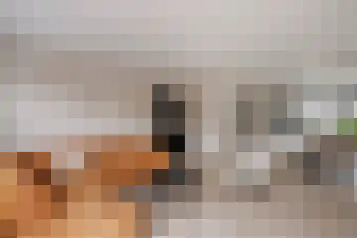 Knotwilg 22 Kampen thumbnail 10