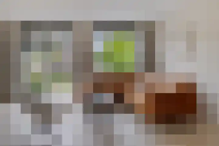 Knotwilg 22 Kampen thumbnail 11