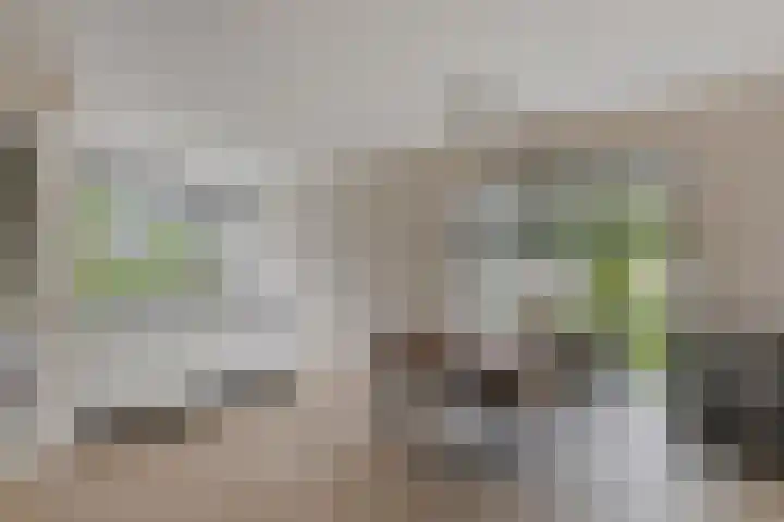 Knotwilg 22 Kampen thumbnail 12