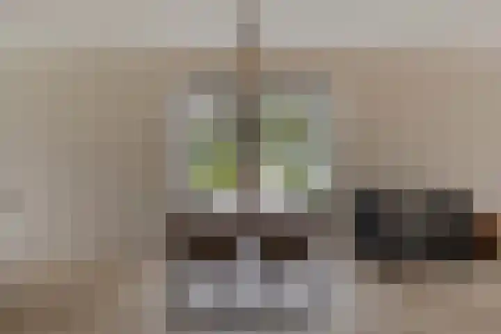 Knotwilg 22 Kampen thumbnail 13