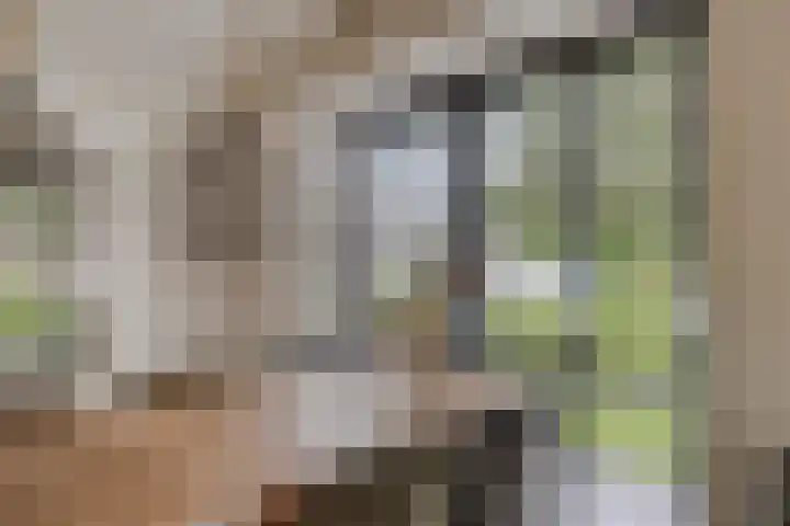 Knotwilg 22 Kampen thumbnail 14