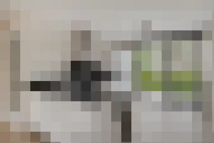 Knotwilg 22 Kampen thumbnail 15