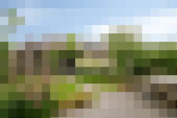Knotwilg 22 Kampen thumbnail 17